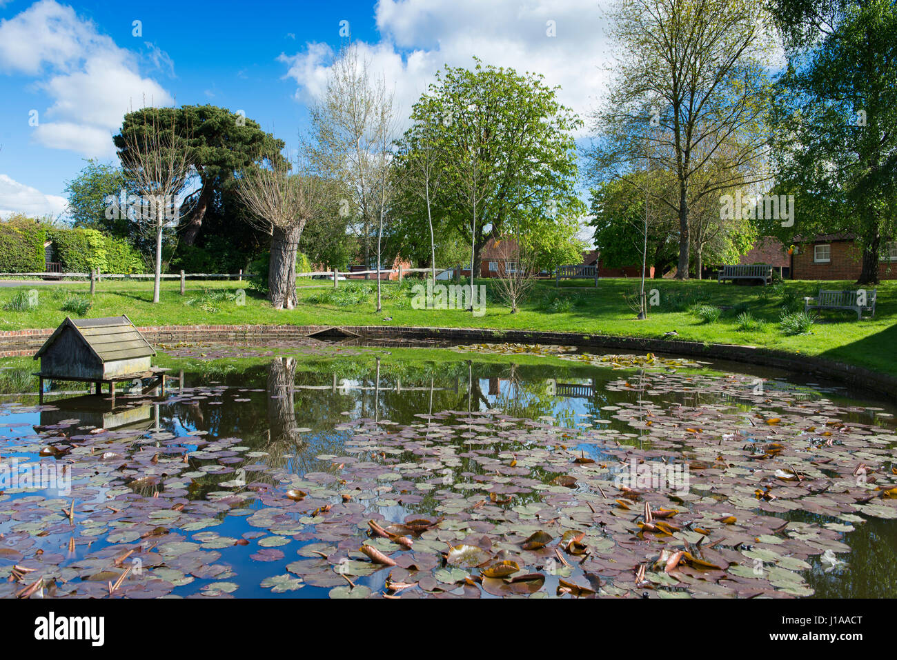 Ein kleiner Teich mit Enten Haus in Dorf Wisborough Green, West Sussex, Großbritannien Stockfoto