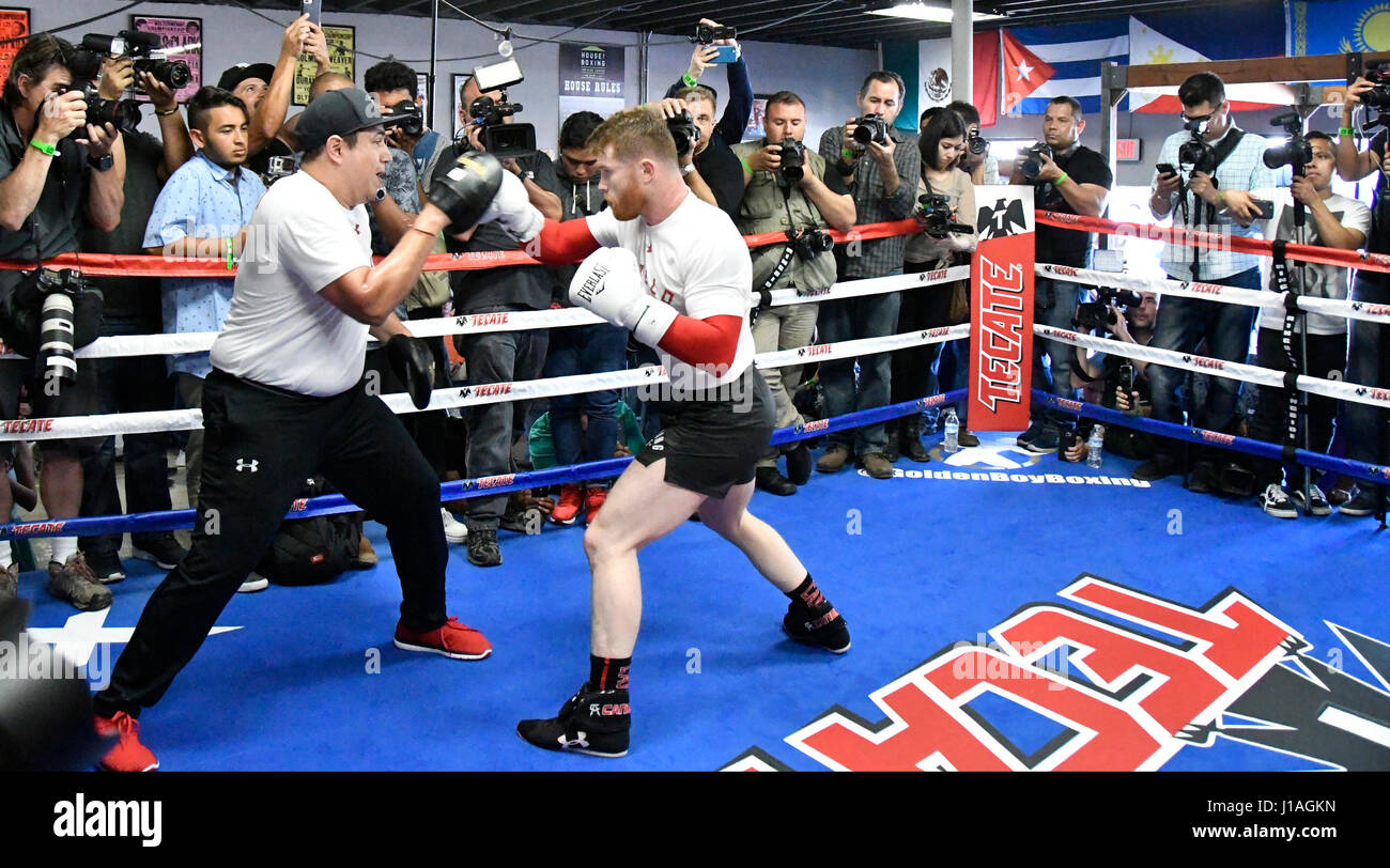 San Diego CA. 19. April 2017. Ehemaligen zwei-Teilung World Champion Canelo Alvarez arbeitet für die Medien in San Diego am Mittwoch. 19 April vor seiner Cinco De Mayo Wochenende Showdown gegen den ehemaligen WBC-Mittelgewichts-World Champion Julio Cesar Chavez, Jr. Der Kampf ist am Samstag, den 6. Mai. bei der T-Mobil-Arena und der Super-Kampf produziert und vertrieben werden live von HBO Pay-pro-View.Photo von Gene Blevins/LA Daily News/ZumaPress. Bildnachweis: Gene Blevins/ZUMA Draht/Alamy Live-Nachrichten Stockfoto