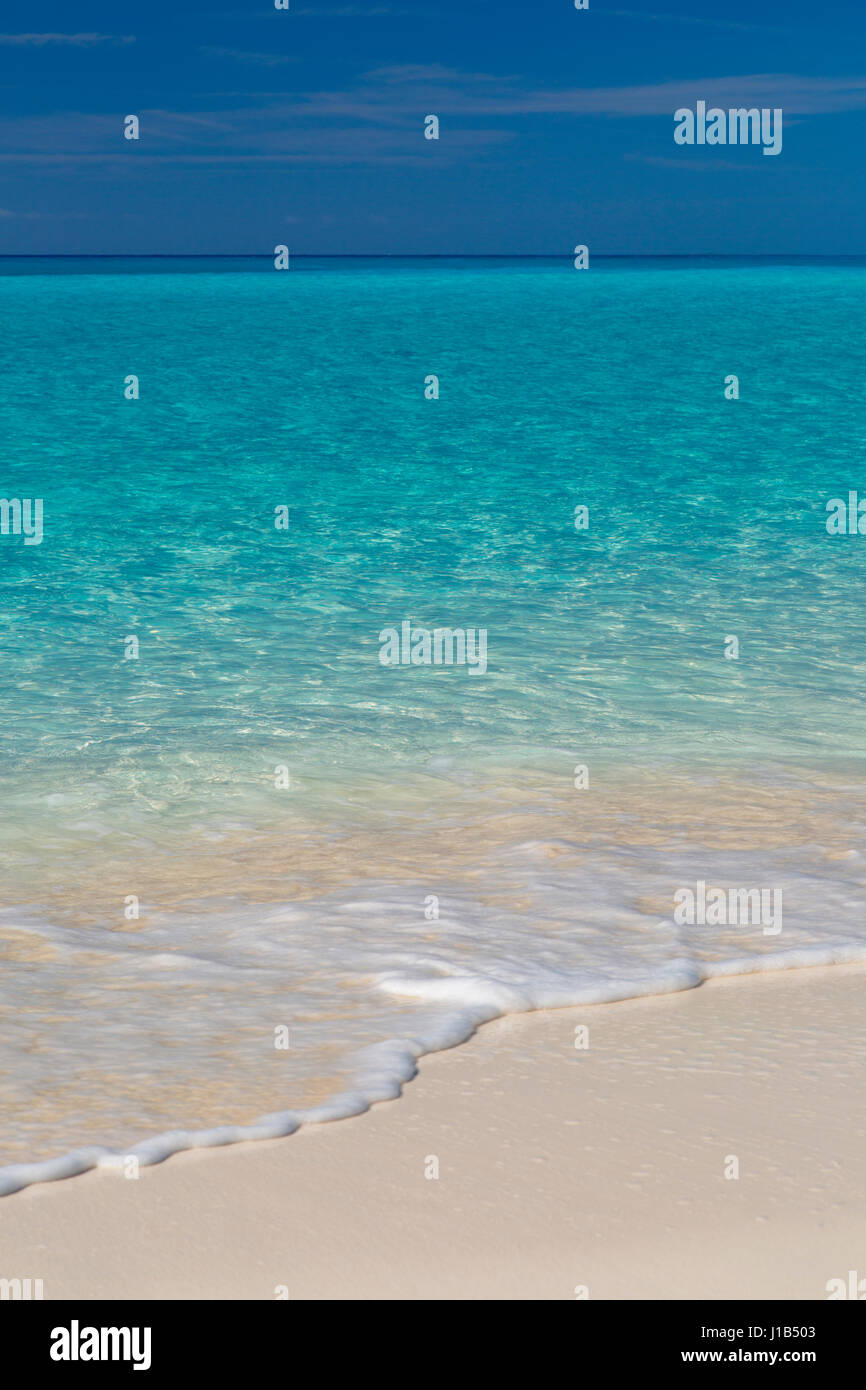 Blaue und grüne Wasser vor Halfmoon Cay Beach, Bahama-Inseln Stockfoto