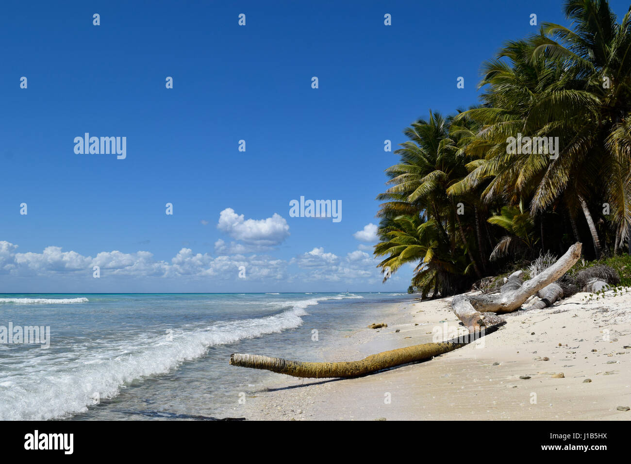 März 2017, die fabelhaften Strand von Isla Saona in der Dominikanischen Republik. Wellen, berühren die göttliche Küste der Insel, voller Palmen entspannen Stockfoto