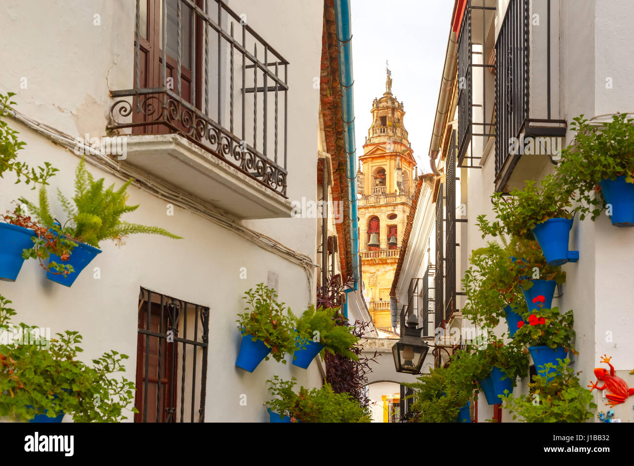 Patio de las flores Fotos und Bildmaterial in hoher Auflösung Alamy