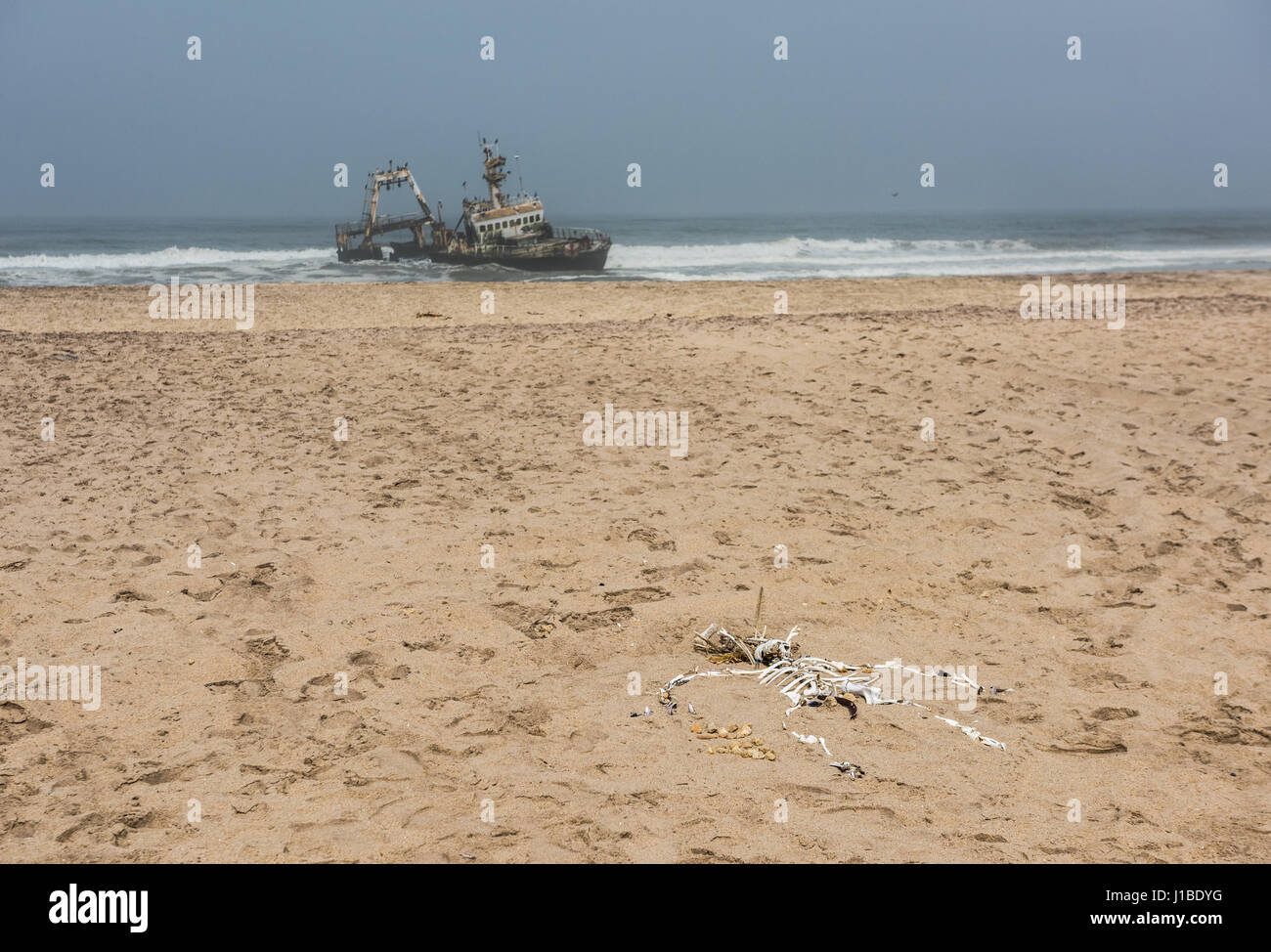 Schiffbruch am Strand, Skeleton Coast, Namibia Stockfoto
