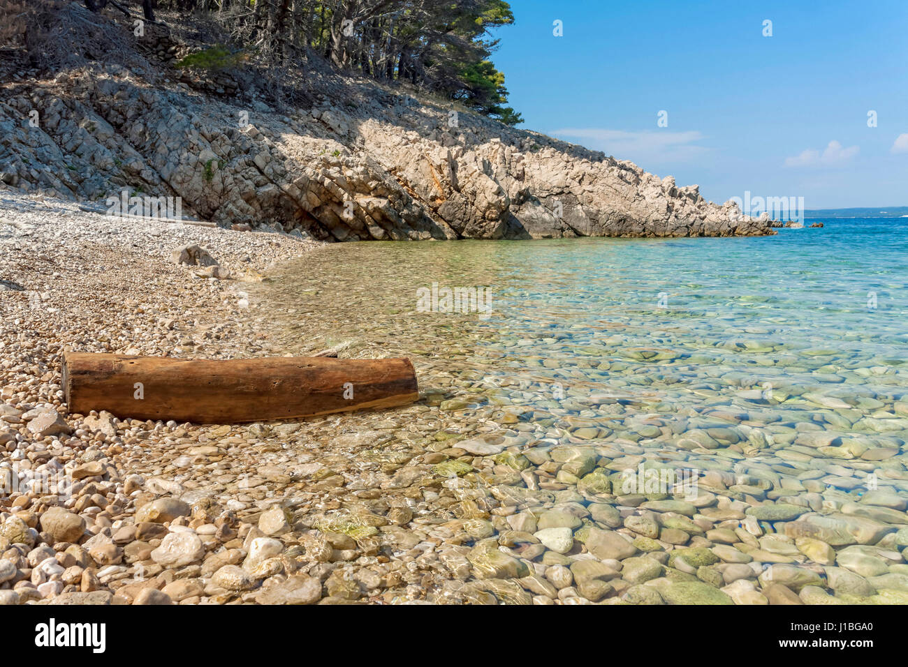 Treibholz auf einen kleinen Kieselstrand in der Nähe von Lun, Insel Pag, Kroatien Stockfoto