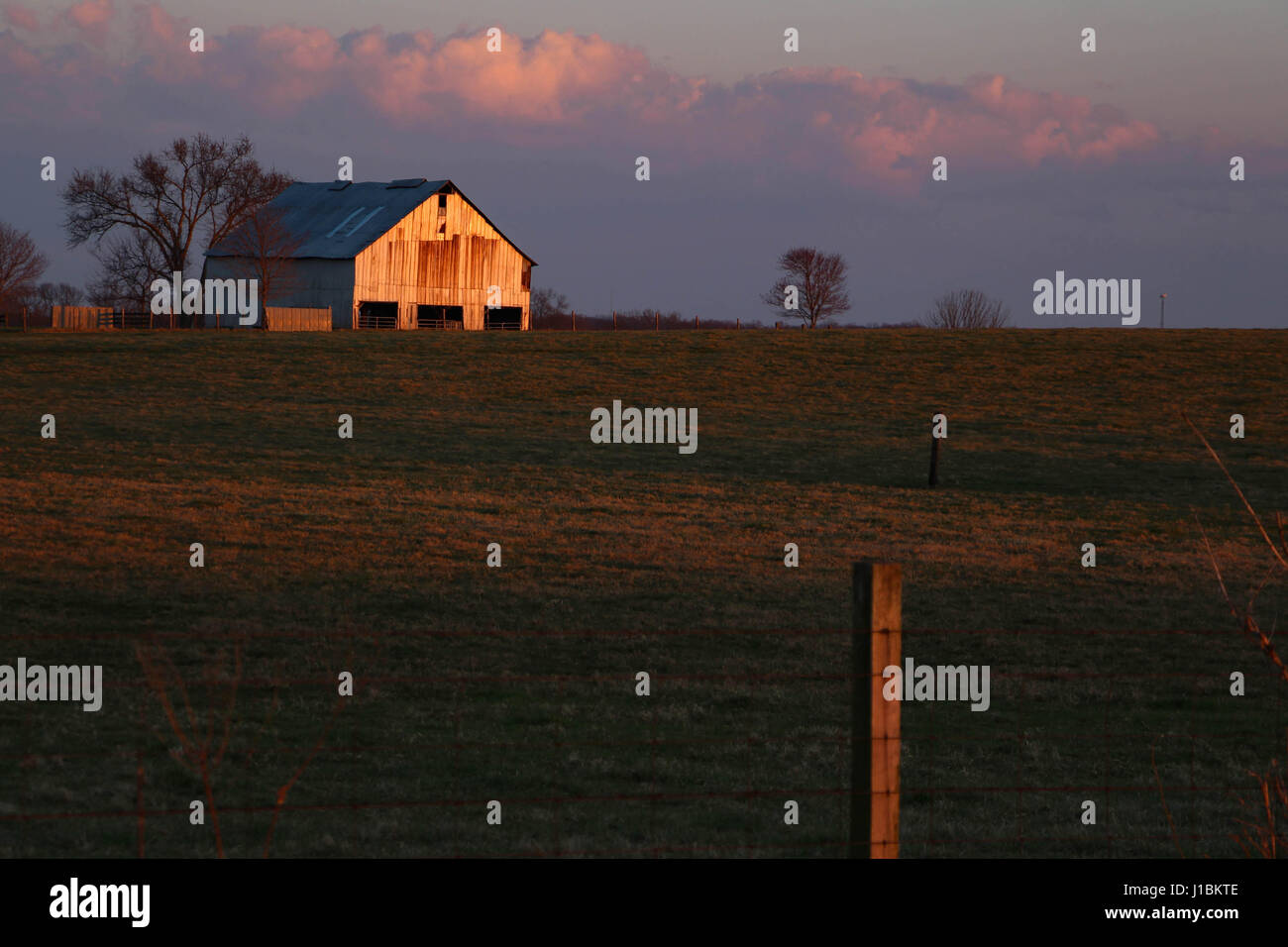 Scheune im Feld bei Sonnenuntergang Stockfoto