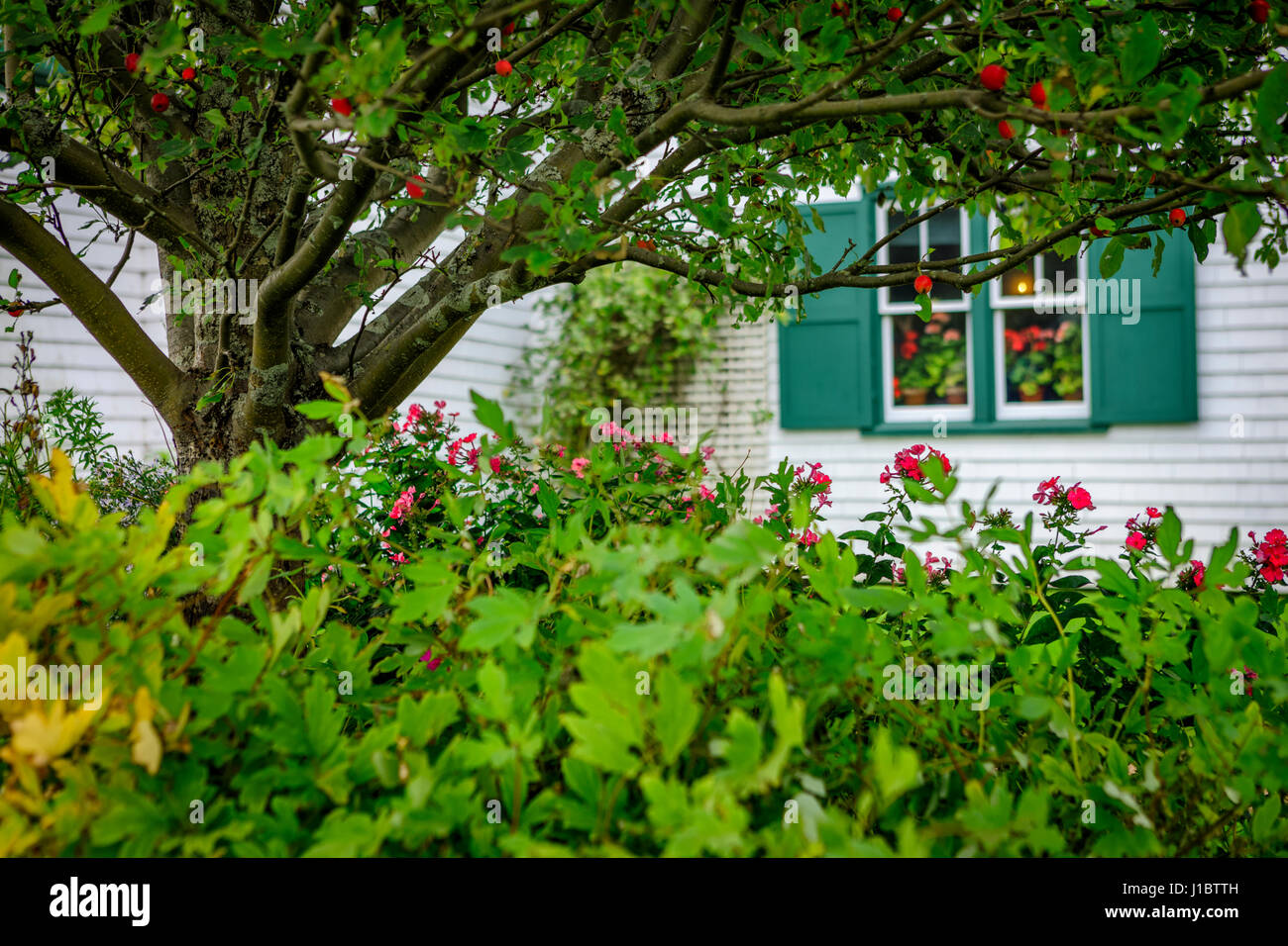 Anne of Green Gables House, Prince Edward Island, Kanada Stockfoto