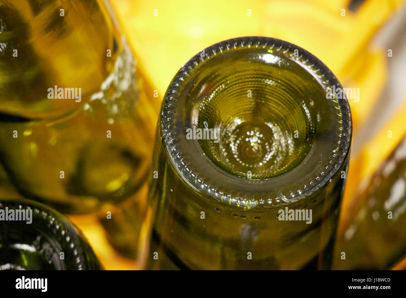 Weinflaschen, die Trocknung auf ein Flaschenbaum für Zuhause Weinproduktion verwendet Stockfoto