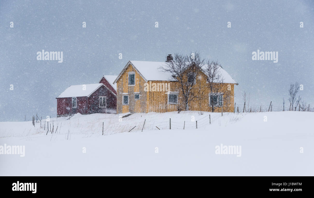 Gelbe Haus und die roten Nebengebäude im Schnee in der Nähe von Flakstad Kirche auf Flakstadoya, Lofoten Inseln, Norwegen Stockfoto