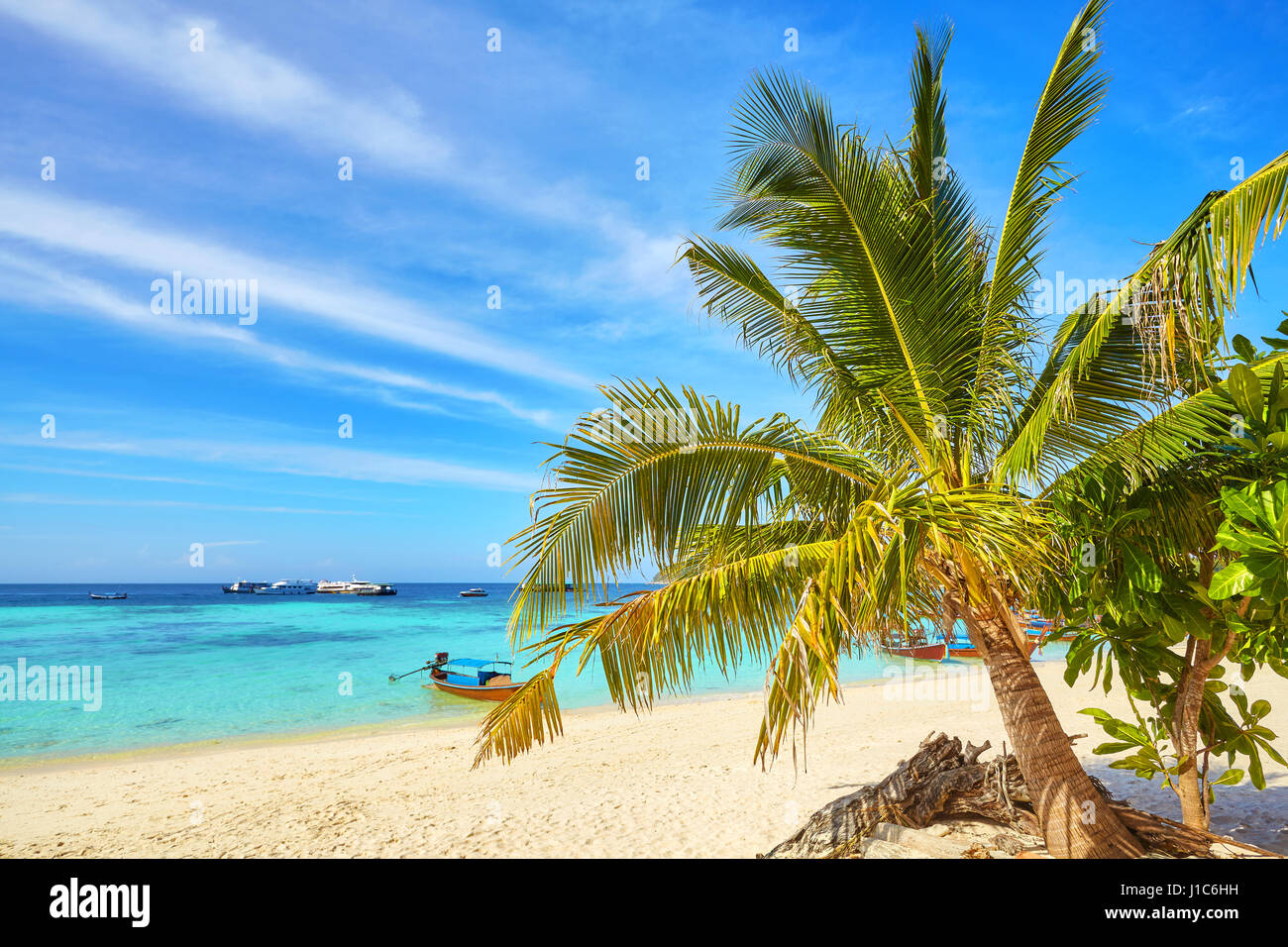 Palmen Sie am tropischen Strand, Urlaub Hintergrund, Thailand. Stockfoto