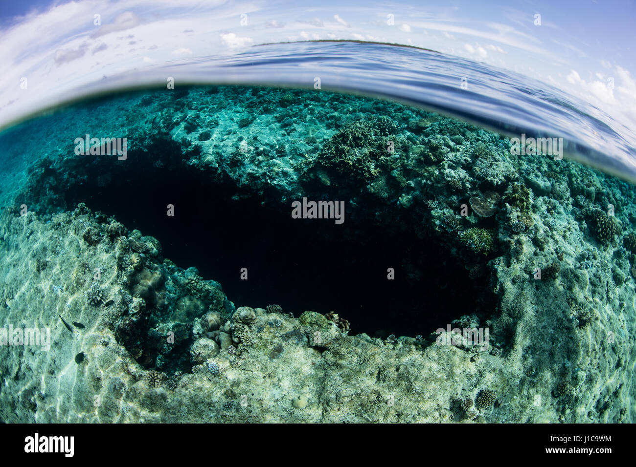 Ein blaues Loch fällt in das Barrier Reef in der Republik Palau. Dieses tropische Land ist ein beliebtes Ziel für Taucher und Schnorchler. Stockfoto