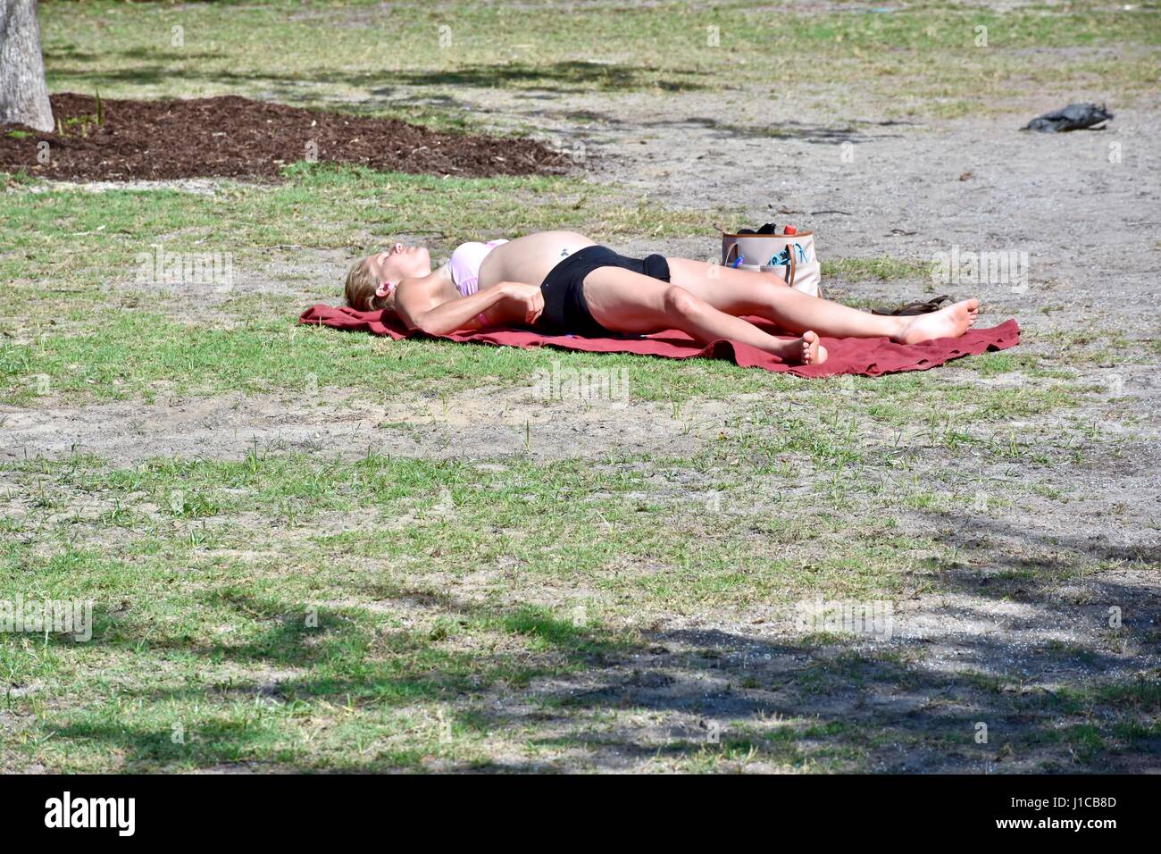 Schwangere Frau Sonnenbaden im Feld Stockfoto