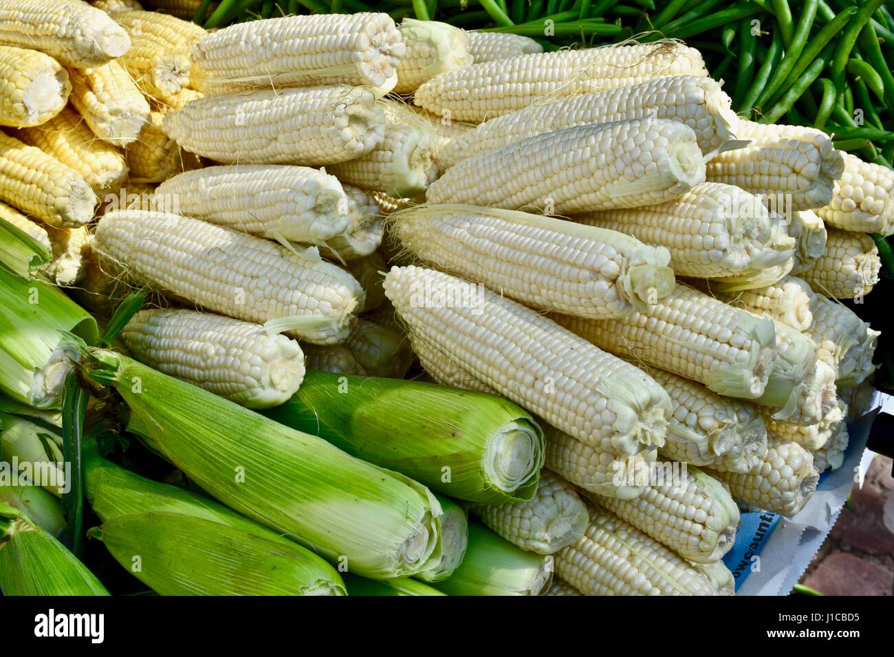 Frische Maiskolben auf Charleston Farmers market Stockfoto