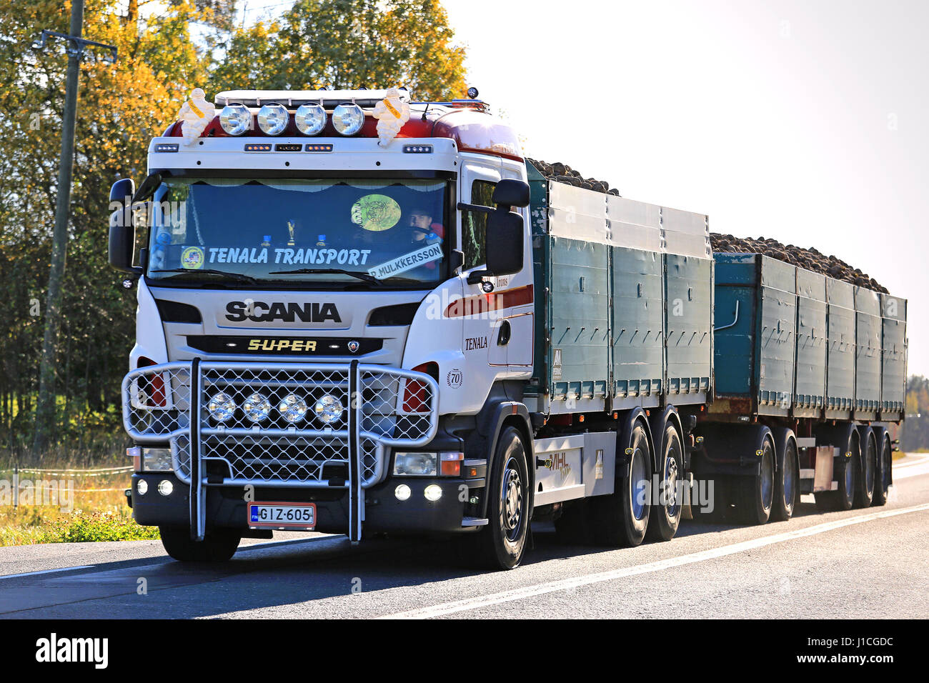 SALO, Finnland - 8. Oktober 2016: Maßgeschneiderte Scania LKW mit  Rammschutz und Beleuchtung Zubehör MHL-Trans schleppt Zuckerrüben Highway,  der sug Stockfotografie - Alamy