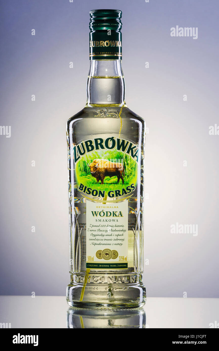 Zubrowka Wodka auf grünem Farbverlauf Hintergrund grass Stockfotografie -  Alamy