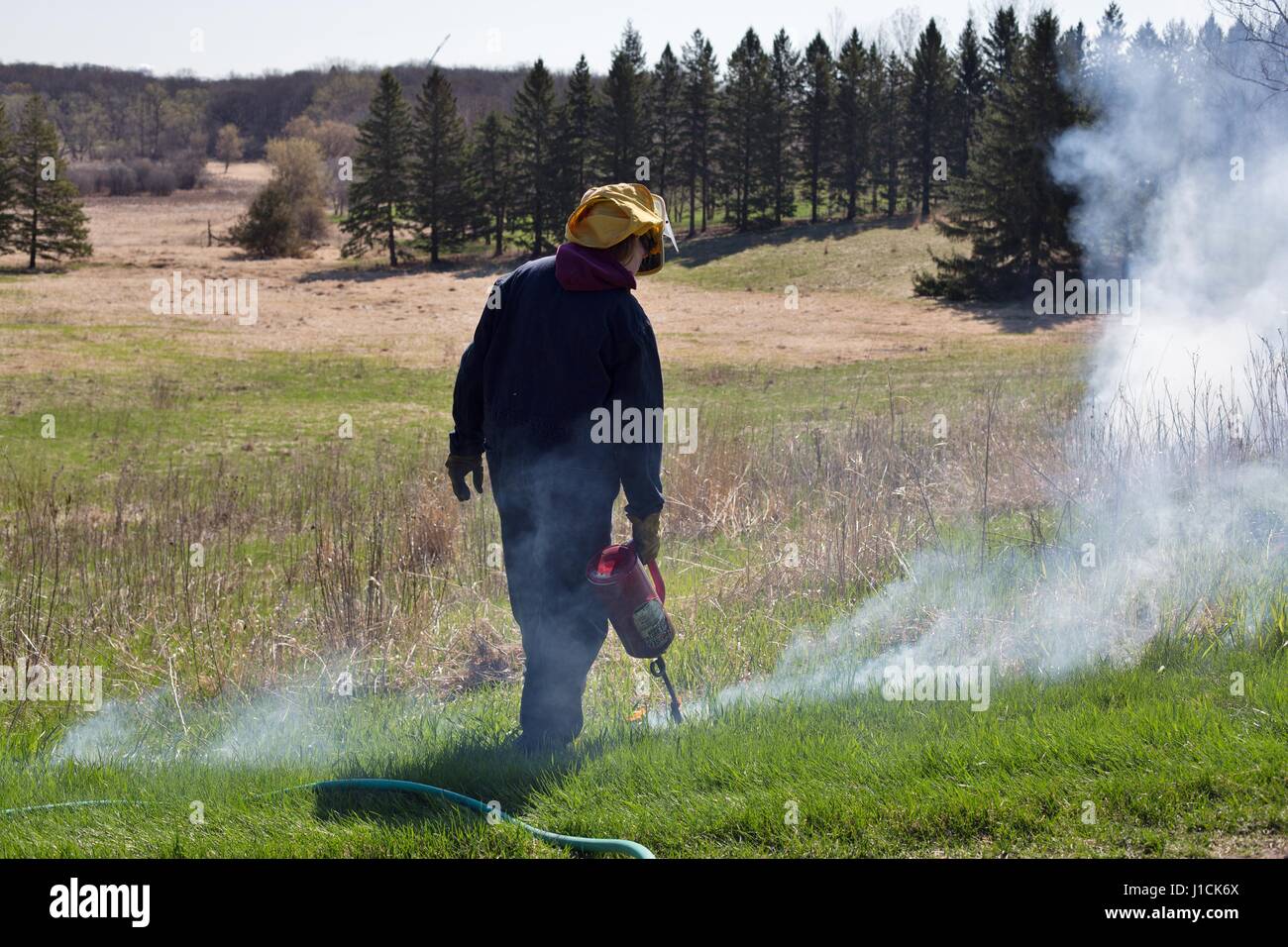 Eine Person, die ein Feld in Minnesota brennen. Stockfoto