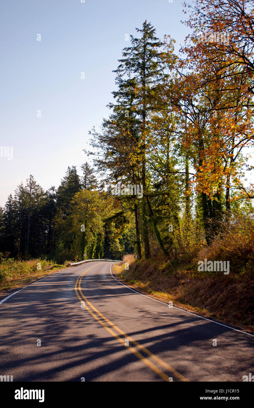 Kurvenreiche Straße mit Fahrbahnmarkierungen mit Herbst bunte Bäume am Straßenrand auf beiden Seiten der Straße. Die Sonne beleuchtet Baumblätter Stockfoto