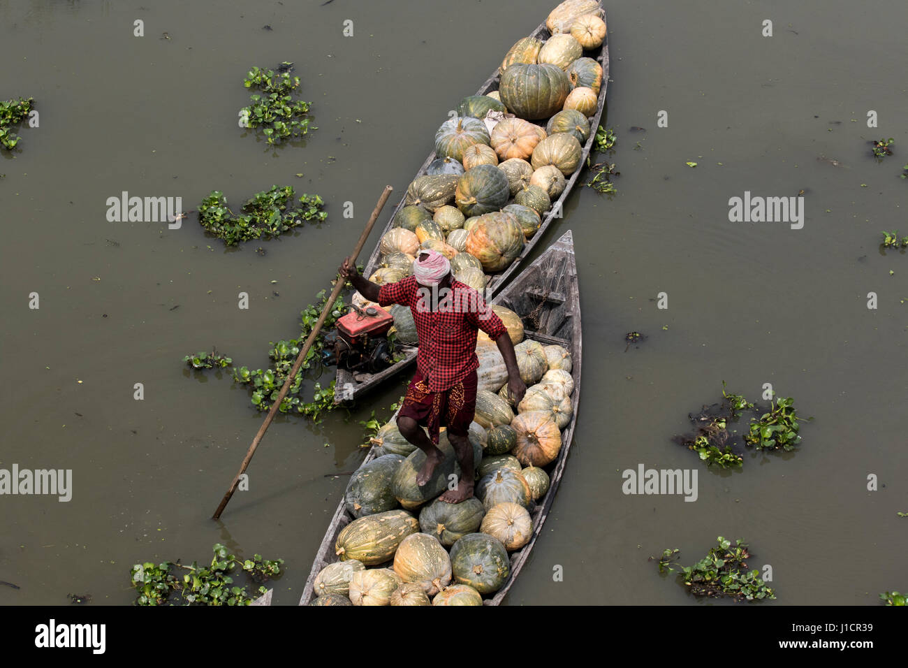 Boote mit Kürbissen warten auf Unload auf Arial Beel. Munshiganj, Bangladesch. Stockfoto