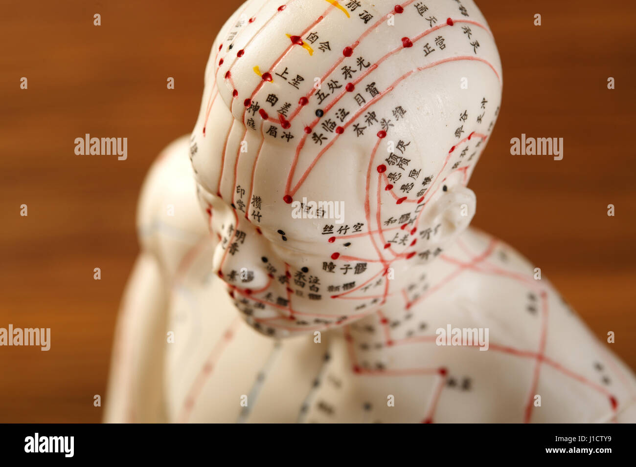 Akupunktur-Punkte Stockfoto