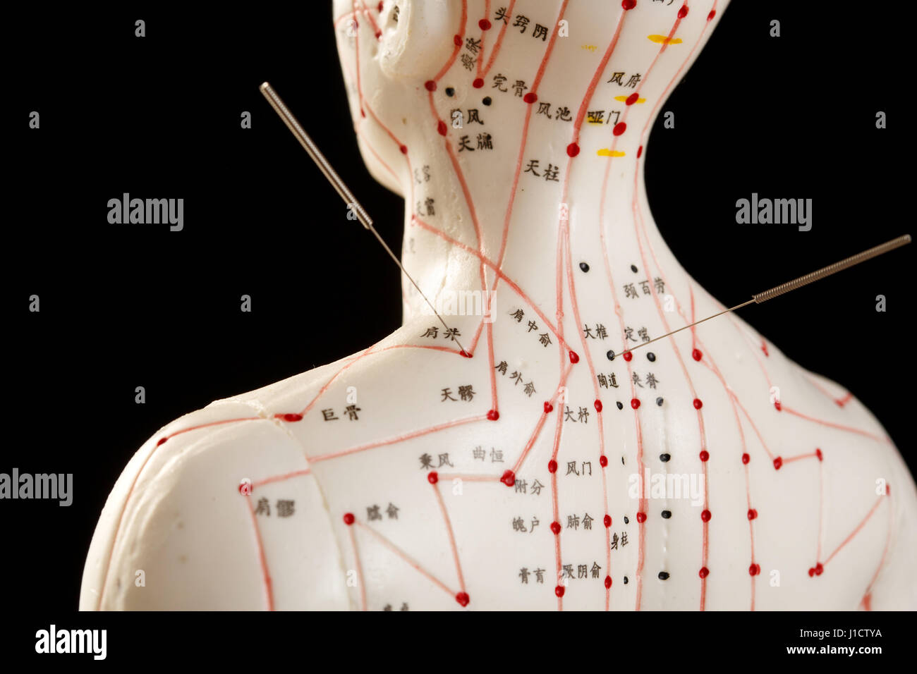 Akupunktur-Punkte Stockfoto