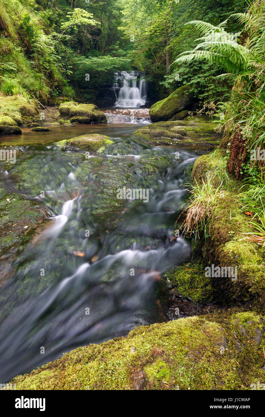 Watersmeet in der Exmoor National Parh Stockfoto