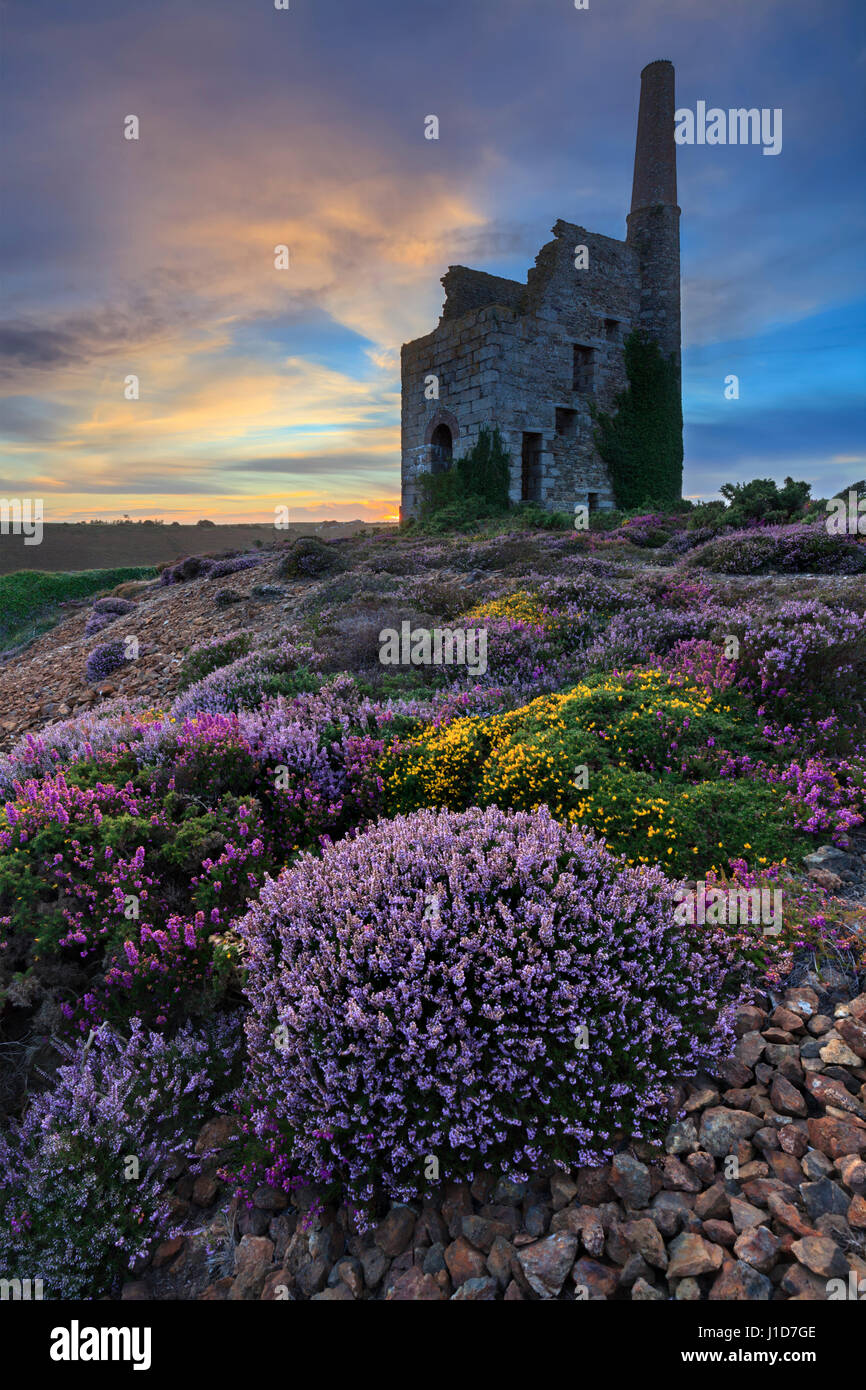 Ein kornisches Maschinenhaus in der Nähe von Porthtowan in Cornwall. Stockfoto