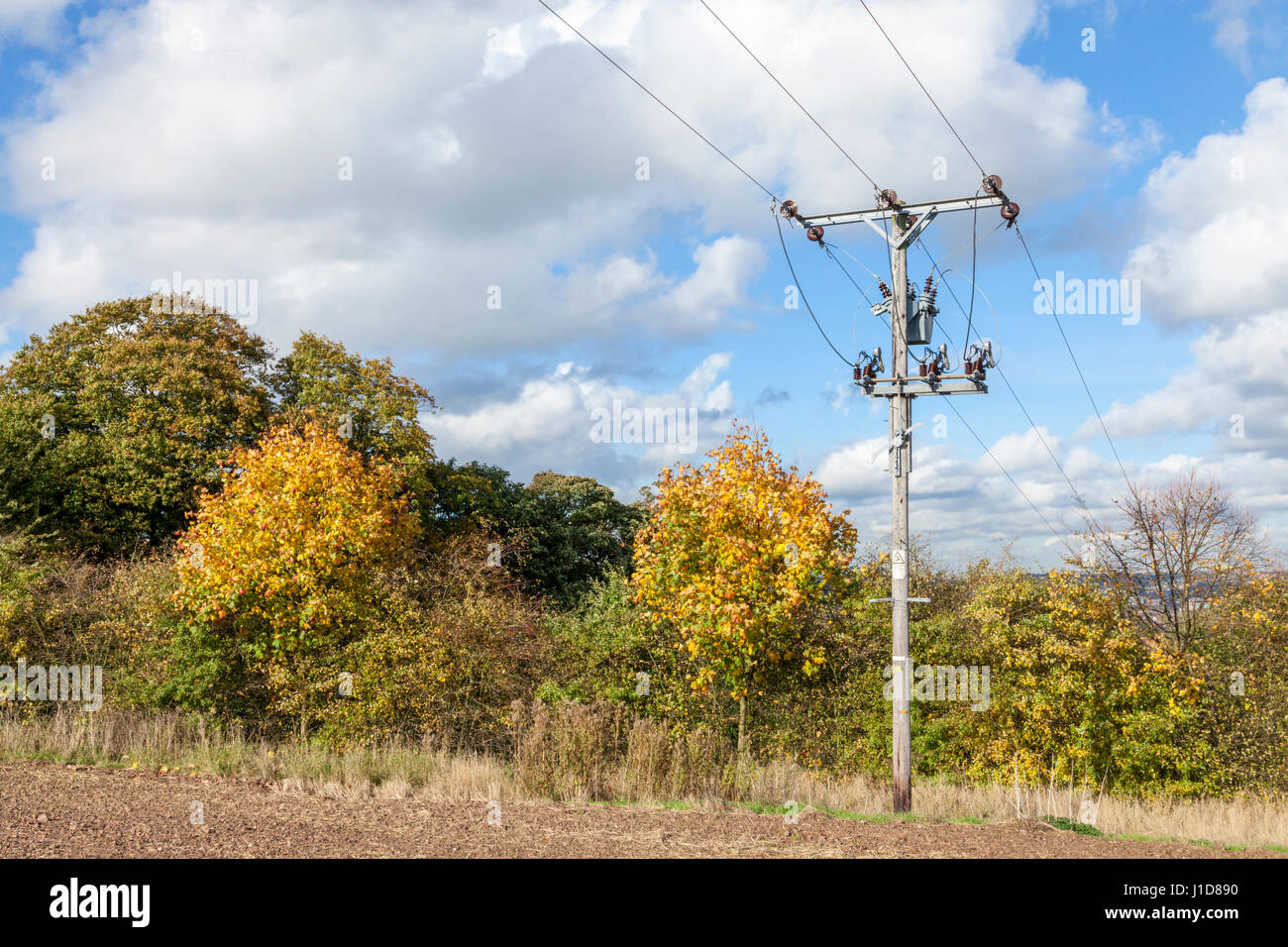 Stromleitungen über Ackerland und über Bäumen in der Landschaft, Nottinghamshire, England, Großbritannien Stockfoto
