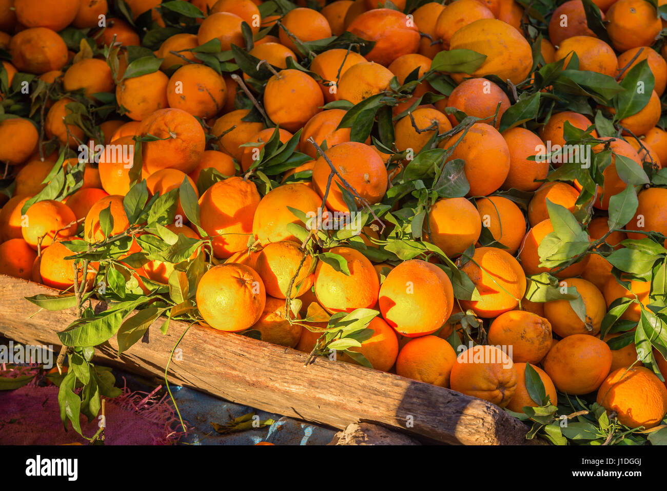 Markt in Medina von Fès ist voll von verschiedenen waren, Marokko Stockfoto