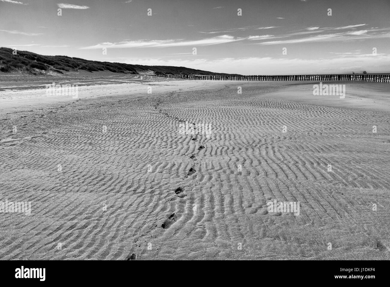 Eine einzelne Textzeile Fußspuren führen über den nassen, wellige Sand von Bleriot-Plage, bei Ebbe. Ein schwarz-weiß Bild genommen an Sangatte, Frankreich Stockfoto