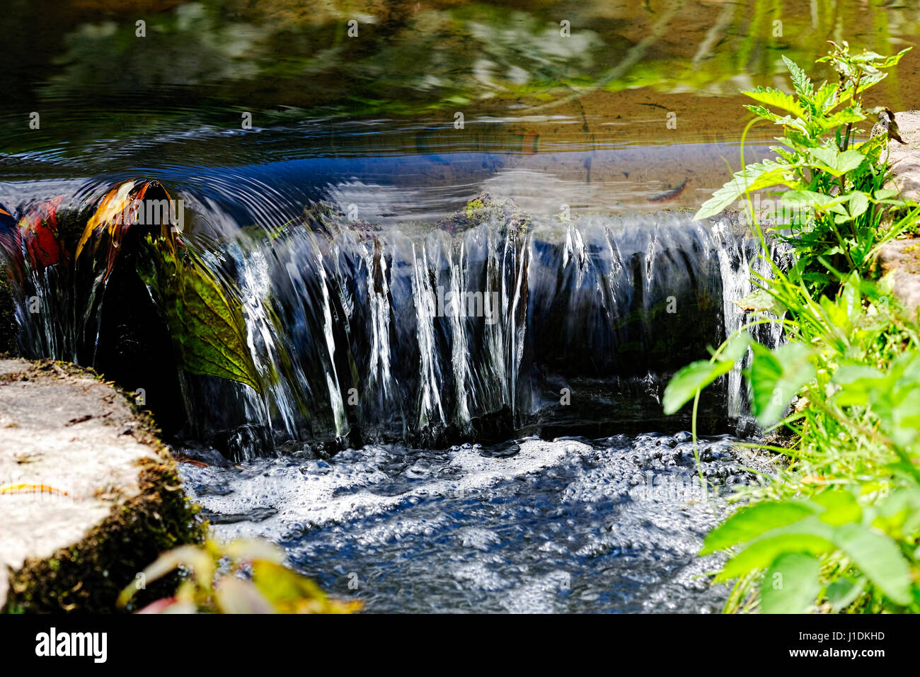 Auf einer Wiese einen schmalen flach, geht Strom von klarem Wasser über eine Kante erstellt durch einige Felsen machen einen Miniatur-Wasserfall, der funkelt in der hellen Sommersonne. Stockfoto