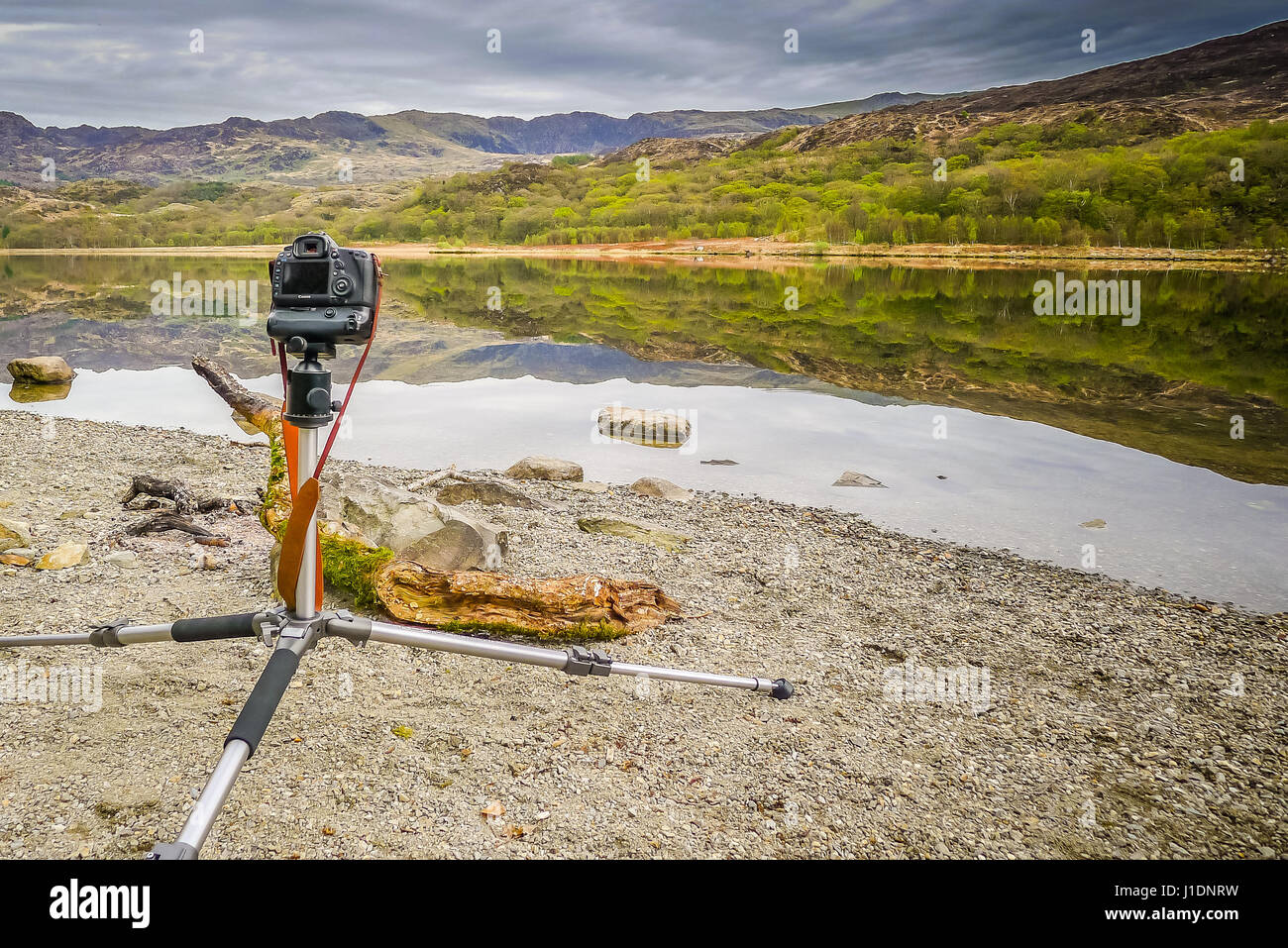 Llyn Cwellyn Stockfoto