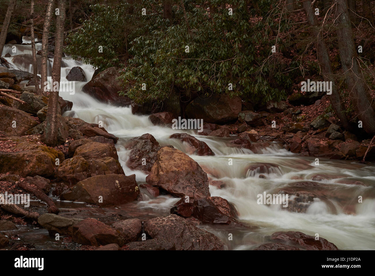 Frühling-Abfluss im indischen ausführen, Lehigh Gorge State Park, Rockport, Pennsylvania, USA Stockfoto
