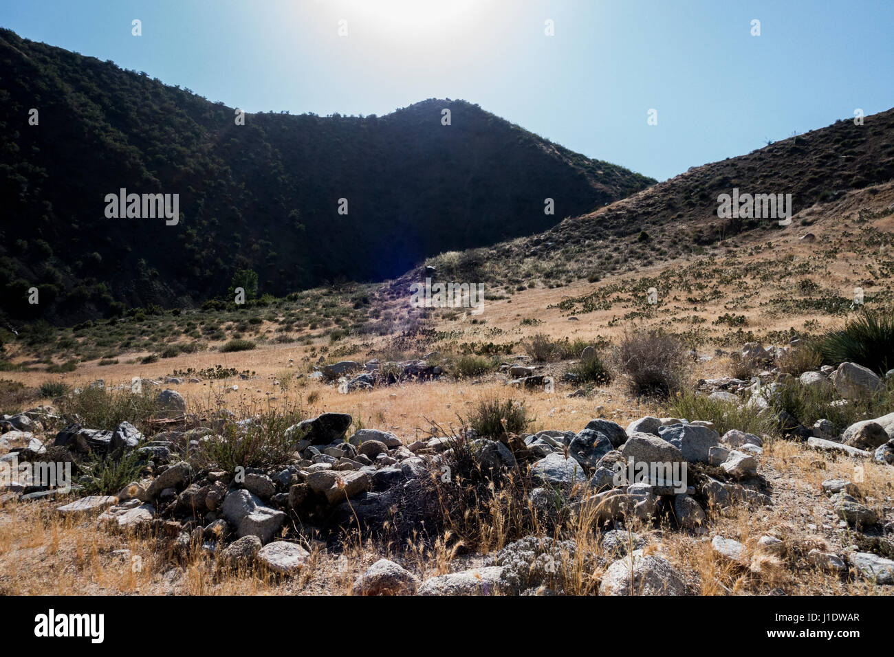 Das Tal, wo die Quelle der Sespe Hot Springs erhebt sich aus der Seite eines Berges in, der Sespe-Wüste in der Nähe von Ojai, Kalifornien. Stockfoto