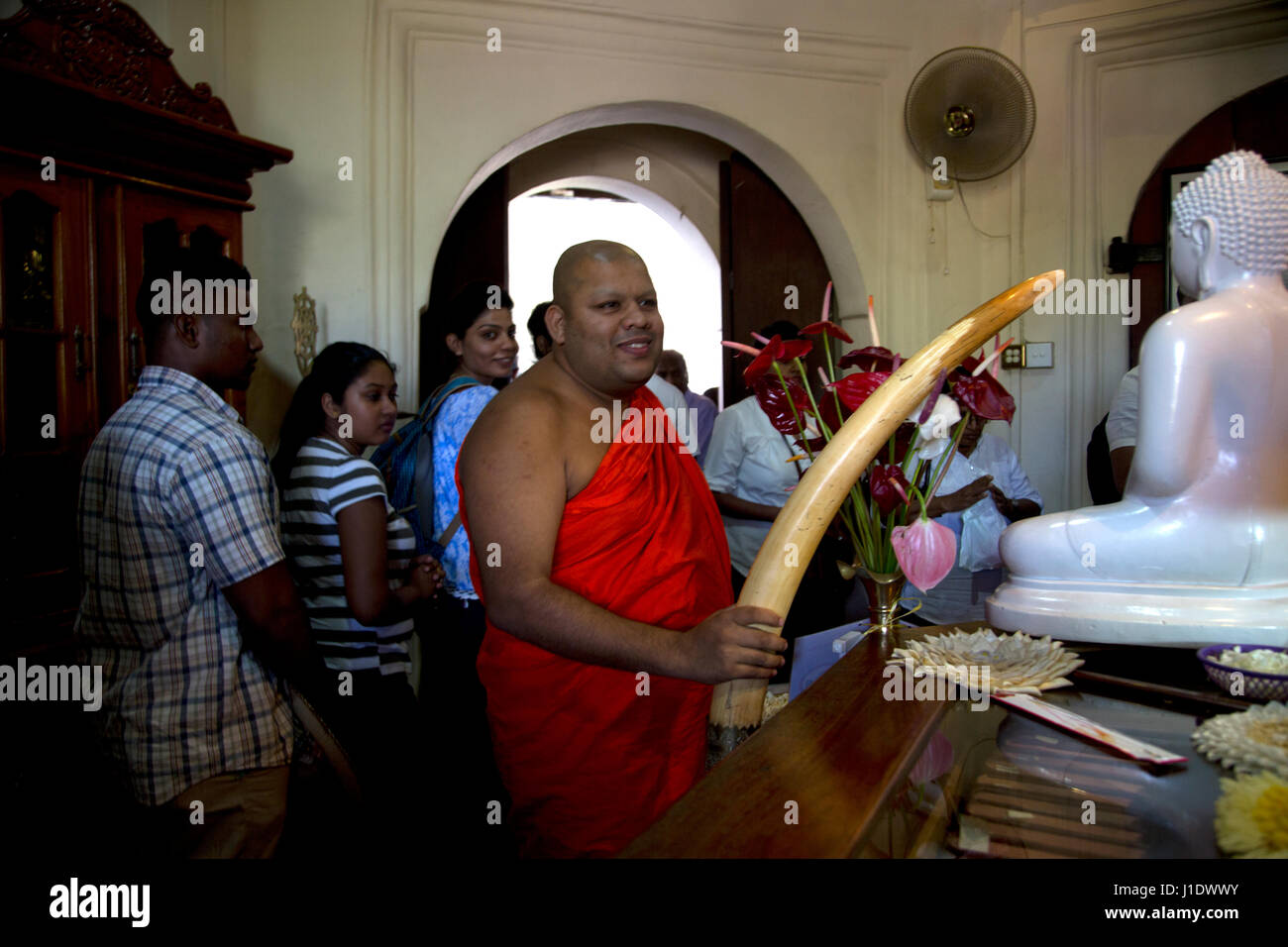 Kandy Sri Lanka Tempel des heiligen Zahns auf Navam Full Moon Poya-Tag Mönch hält Elephant Tusk in Bibliothek Stockfoto