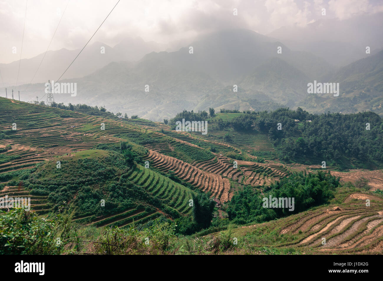 Die Berg-Reis-Terrassen von Sa Pa (Sapa) im nördlichen Vietnam, Südostasien Stockfoto