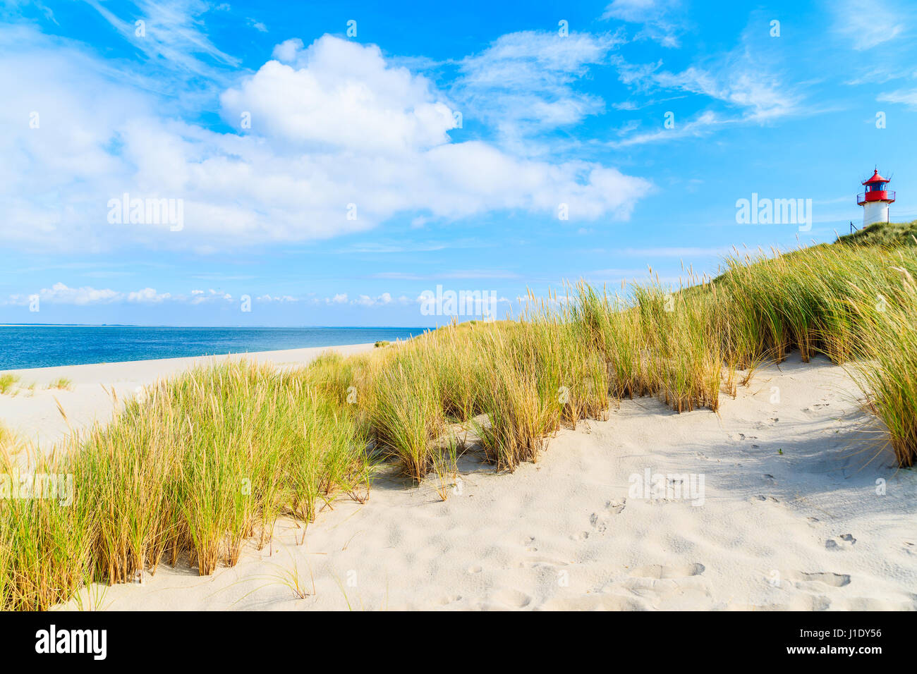 Rasen Sie auf Sanddünen am Ellenbogen Strand, Insel Sylt, Deutschland Stockfoto