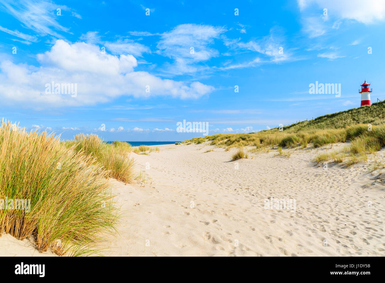 Rasen Sie auf Sanddünen am Ellenbogen Strand, Insel Sylt, Deutschland Stockfoto