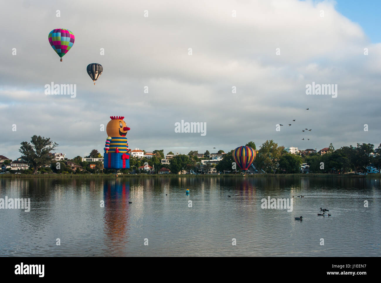 HAMILTON, Neuseeland - 27. März 2010: Heißluftballons fliegen über dem See alkoholkranker (Hamilton Lake Domain) in Hamilton, Neuseeland. Dies ist Bestandteil der Balloo Stockfoto