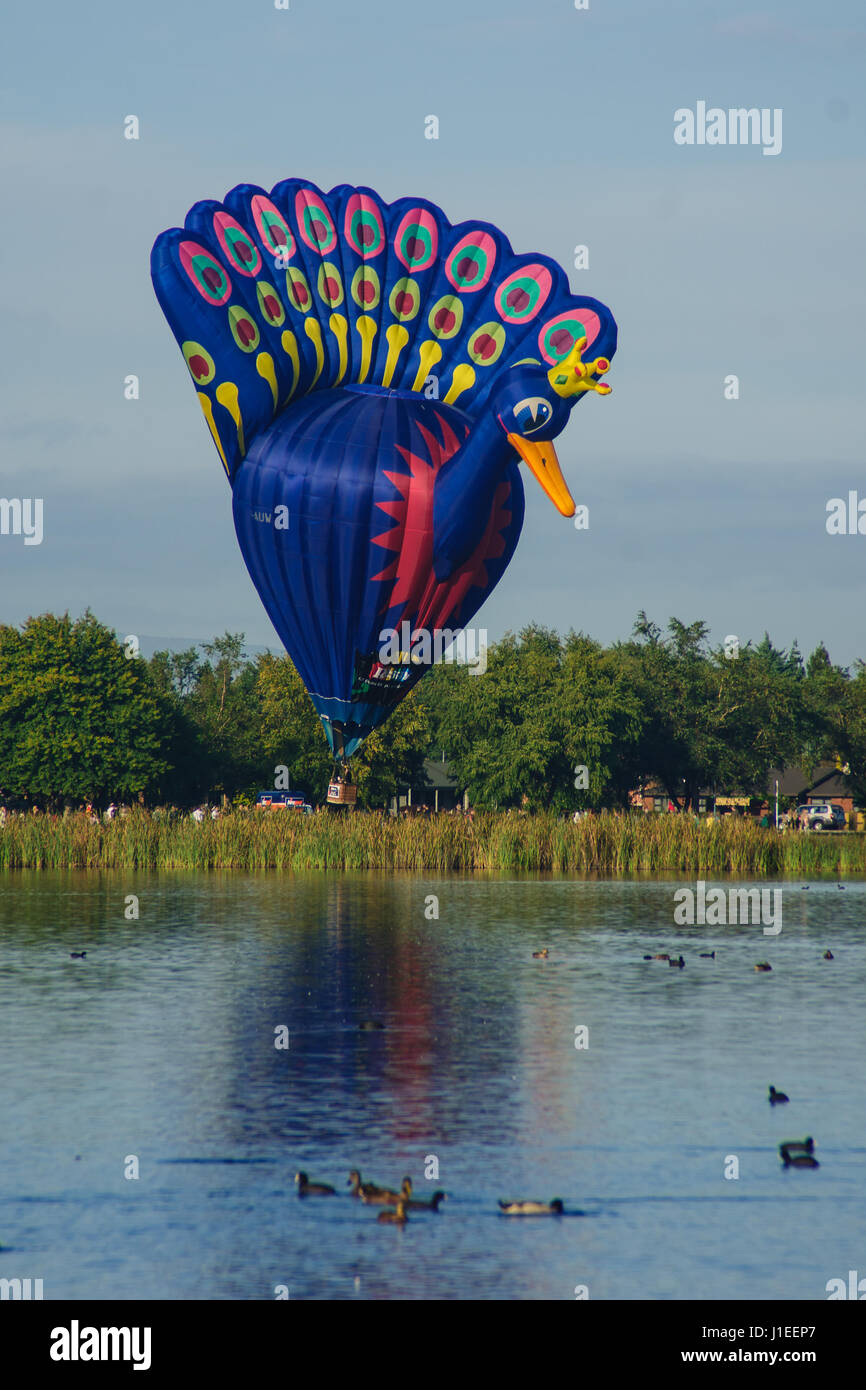 HAMILTON, Neuseeland - 27. März 2010: Ballons über Waikato-Festival am 27. März 2010 in Hamilton, Neuseeland Stockfoto