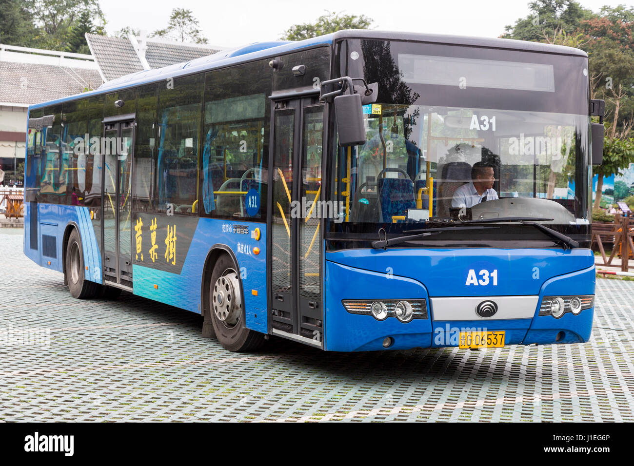 Provinz Guizhou, China.  Touristik-Bus, gelbe Frucht Baum (Huangguoshu) Wasserfall Naturgebiet. Stockfoto