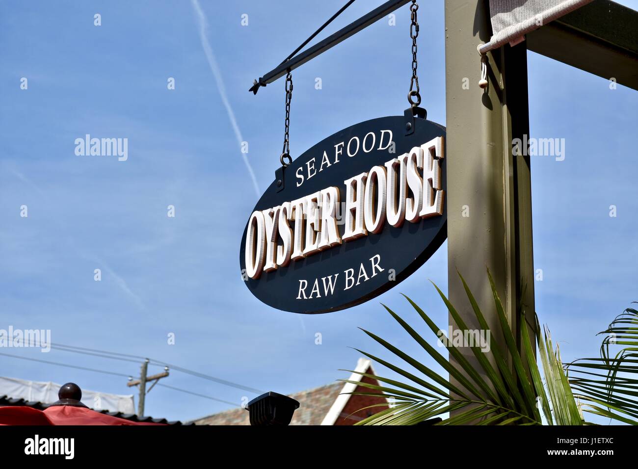 Charleston, South Carolina Meeresfrüchte Auster roh Hausbar Stockfoto