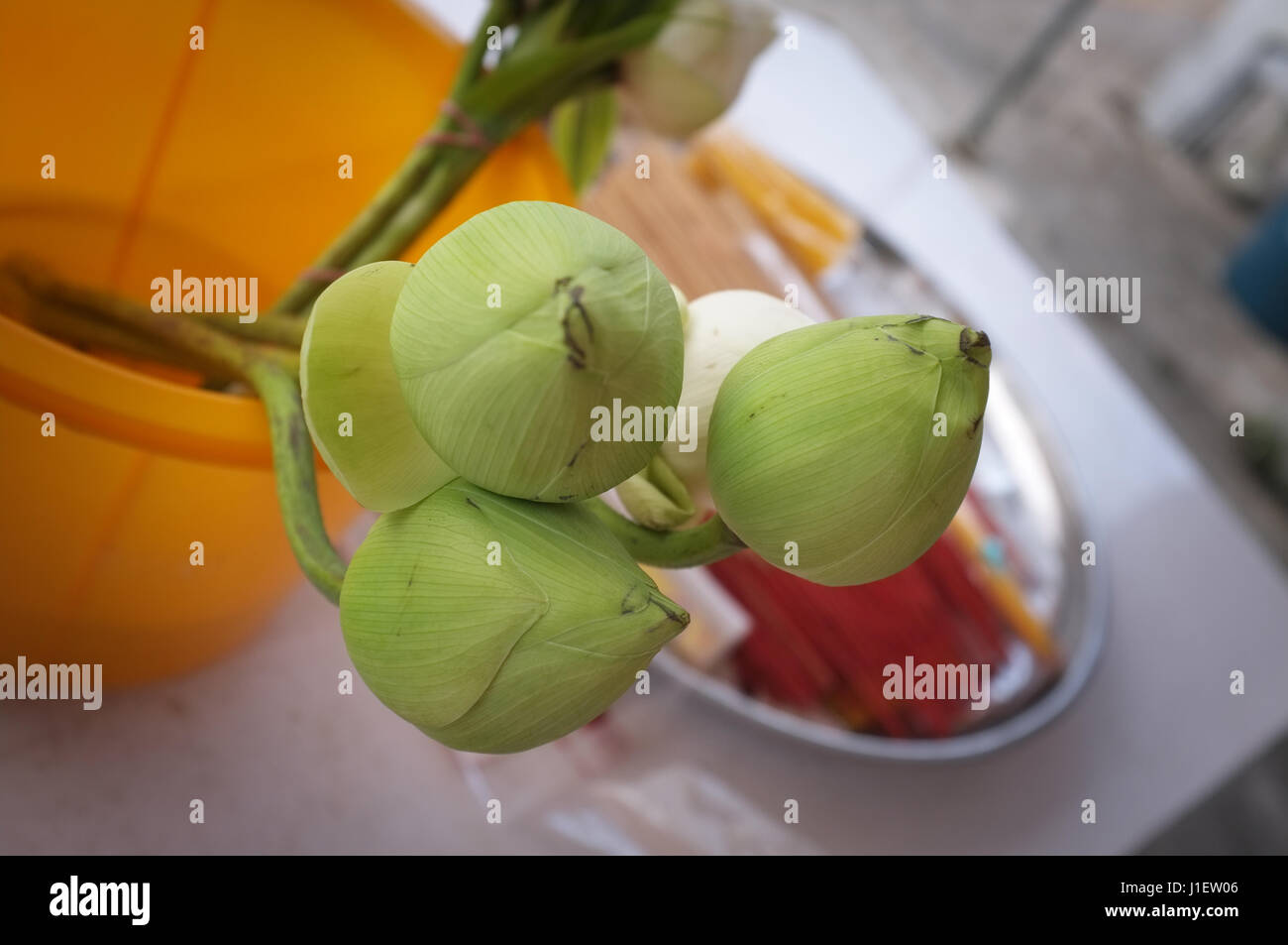 Thai traditionelle Kultur, mit Blumen, Buddha, Lotus zu beten im Tempel Stockfoto