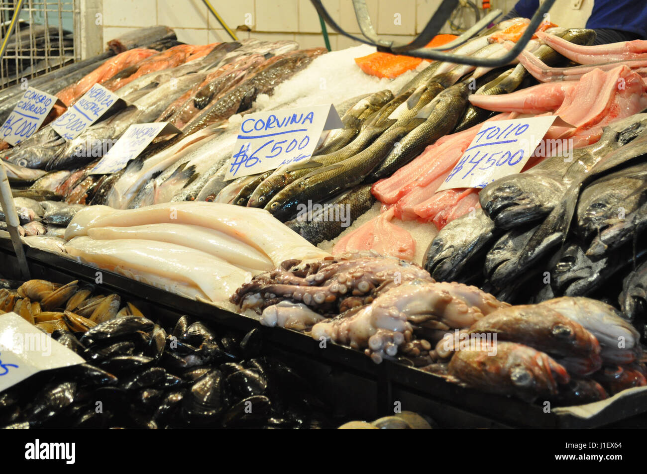 Congrio Fisch am Fischmarkt Stockfoto