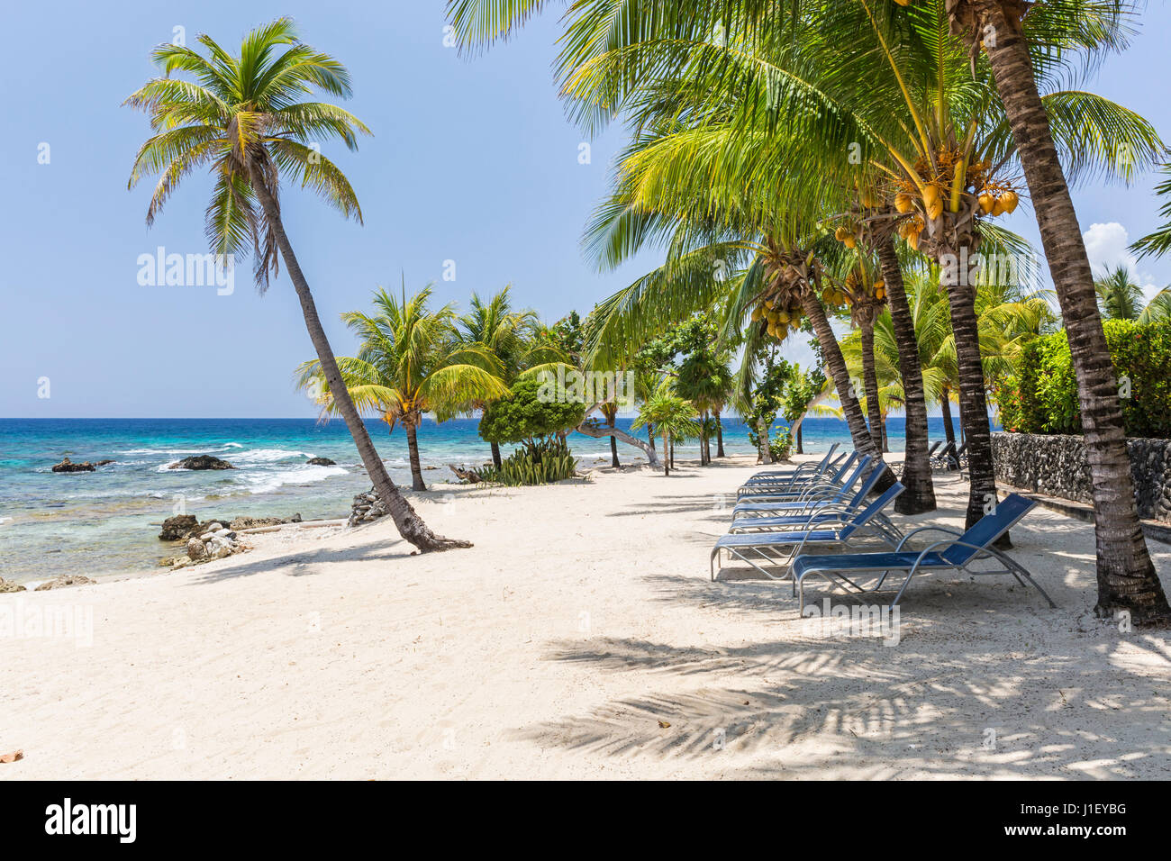 Kokosnuss-Palmen und Liegestühlen säumen den schönen Sandstrand am Lighthouse Point in der Nähe der Meridian-Resorts in Roatan, Honduras. Stockfoto