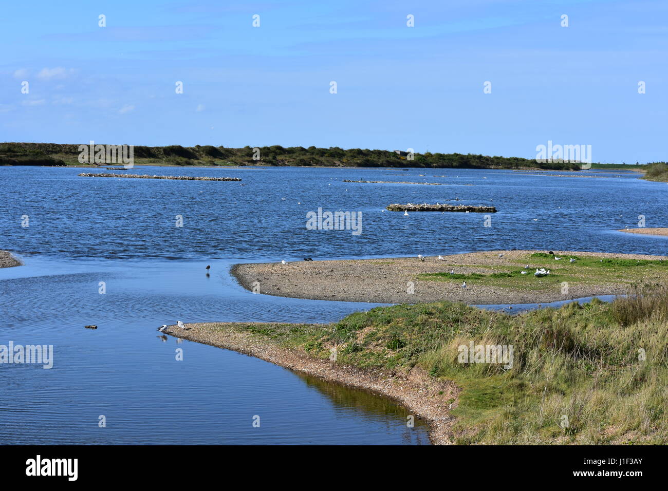 Blick von der Wallfahrtskirche Haut an RSPB Snettisham Naturschutzgebiet Snettisham, Norfolk, Großbritannien Stockfoto