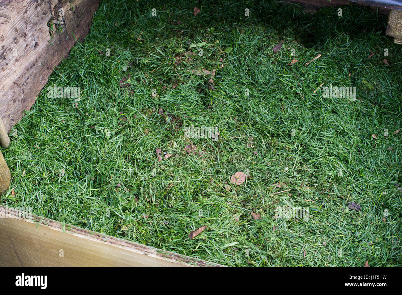 Grasschnitt auf einem Komposthaufen. UK Stockfoto
