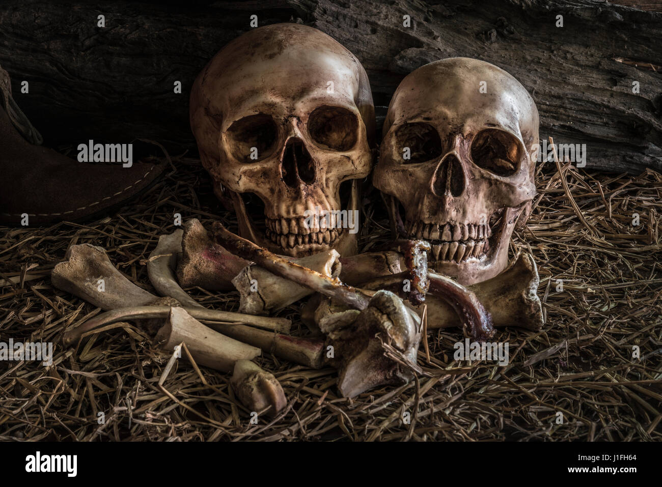 Gemälde Stillleben mit paar menschlichen Schädel auf Heu und Tier Knochen in Scheune Hintergrund, Vintage und dunklen Ton für Horror Halloween Stockfoto