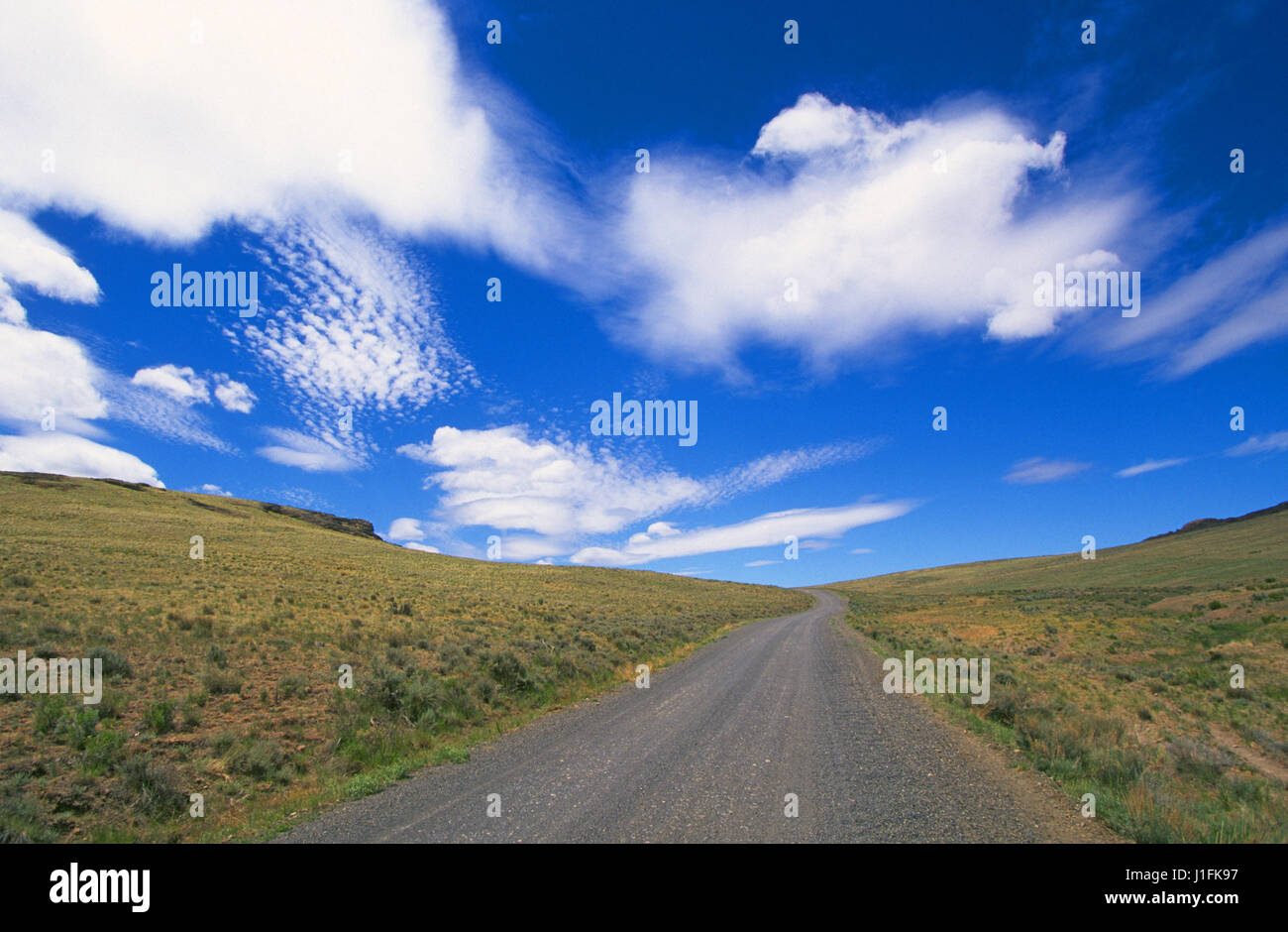 Eine einsame Straße durchzieht die Owyhee Canyonlands im östlichen Oregon. Stockfoto