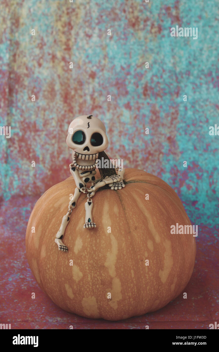 Fun Fact I Don't Care T-Shirt Mit Skelett Design - Sarkastischer Spruch Auf Rückseite