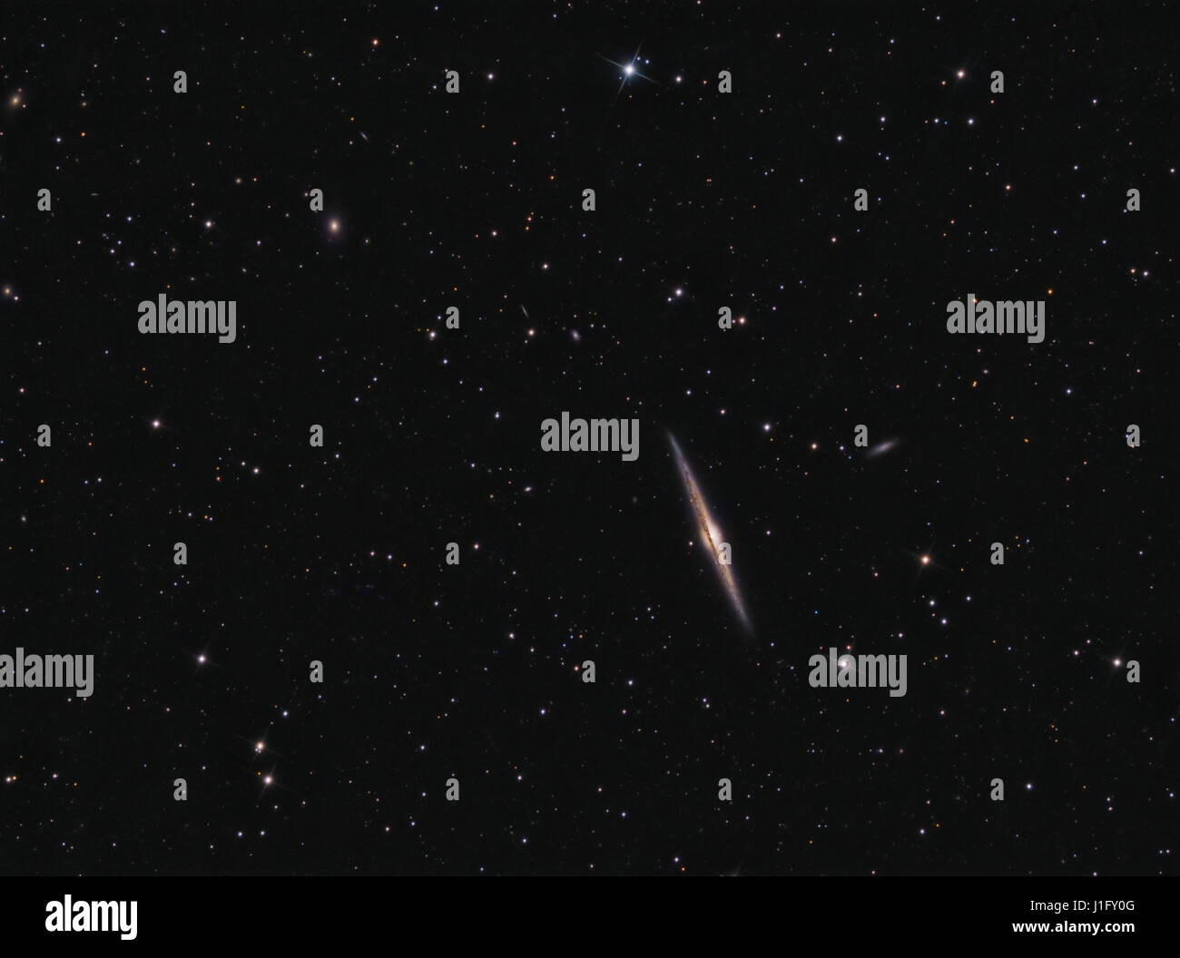 Nadel-Galaxie (NGC 4565) im Coma Berenices Stockfoto