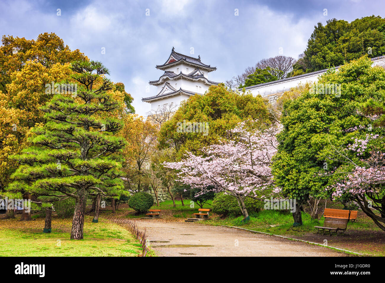 Akashi, Japan Akashi Schloss im Frühjahr. Stockfoto
