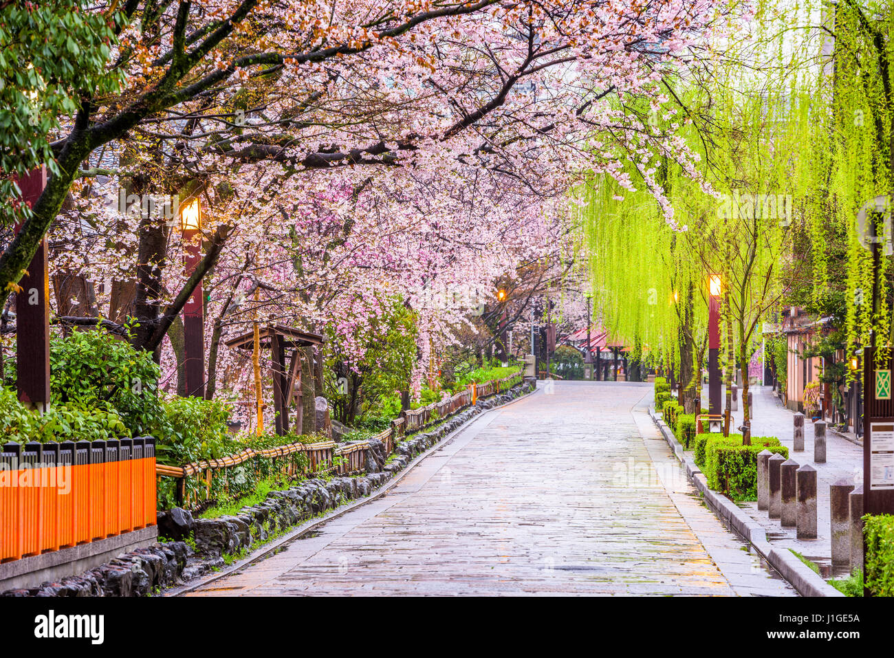 Gion Shirakawa, Kyoto, Japan im Frühjahr. Stockfoto